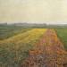 The Yellow Fields at Gennevilliers
